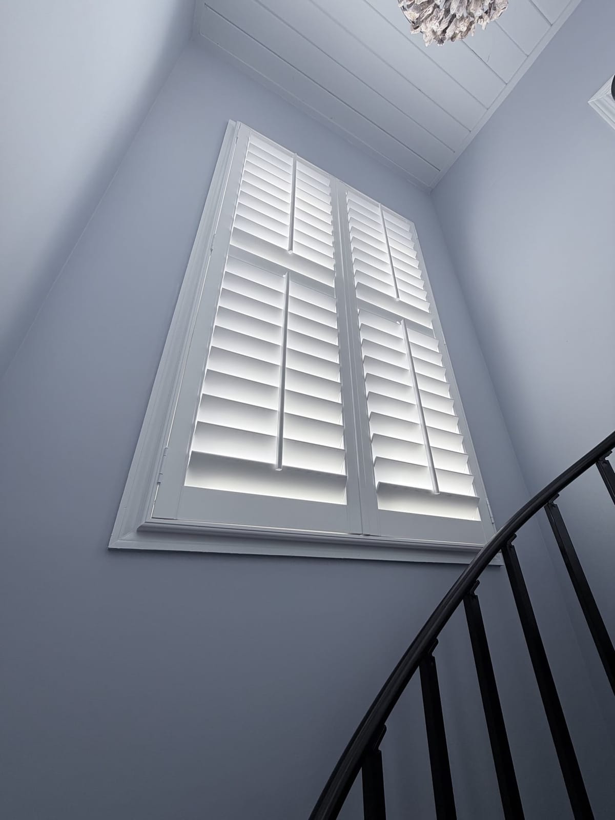 Plantation shutters in Tidewater Plantation
